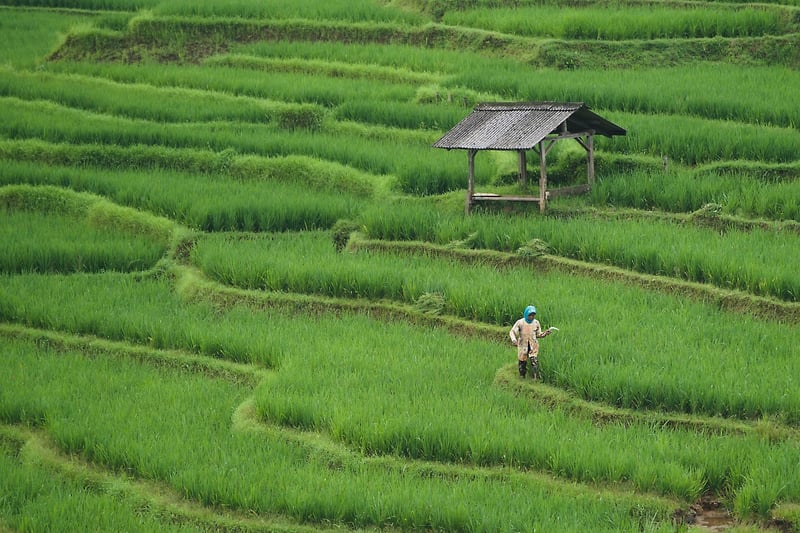 Farm Stays